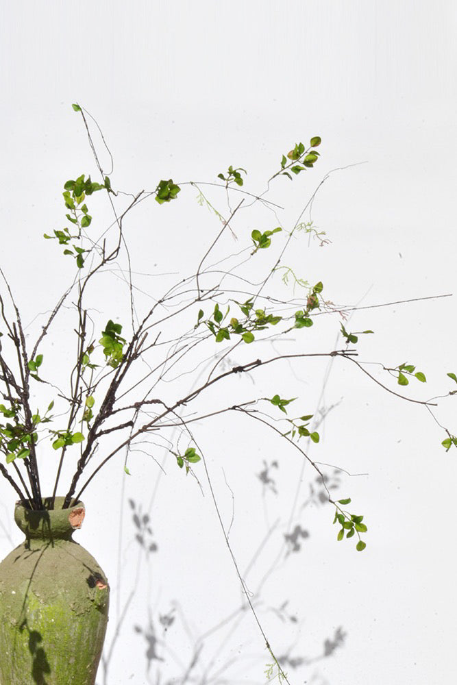 Zen Serenity Autumn Leaves