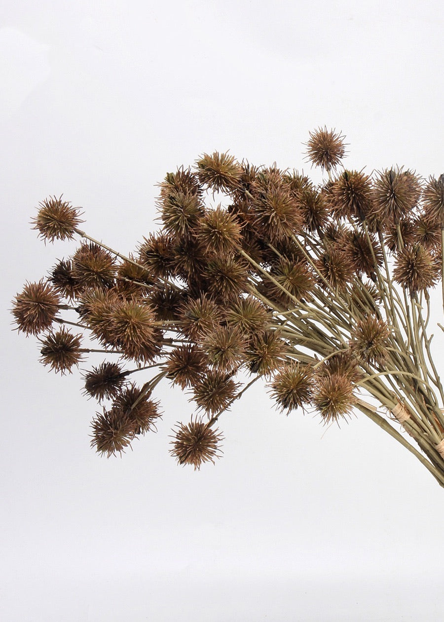 Autumn Chestnut Branch