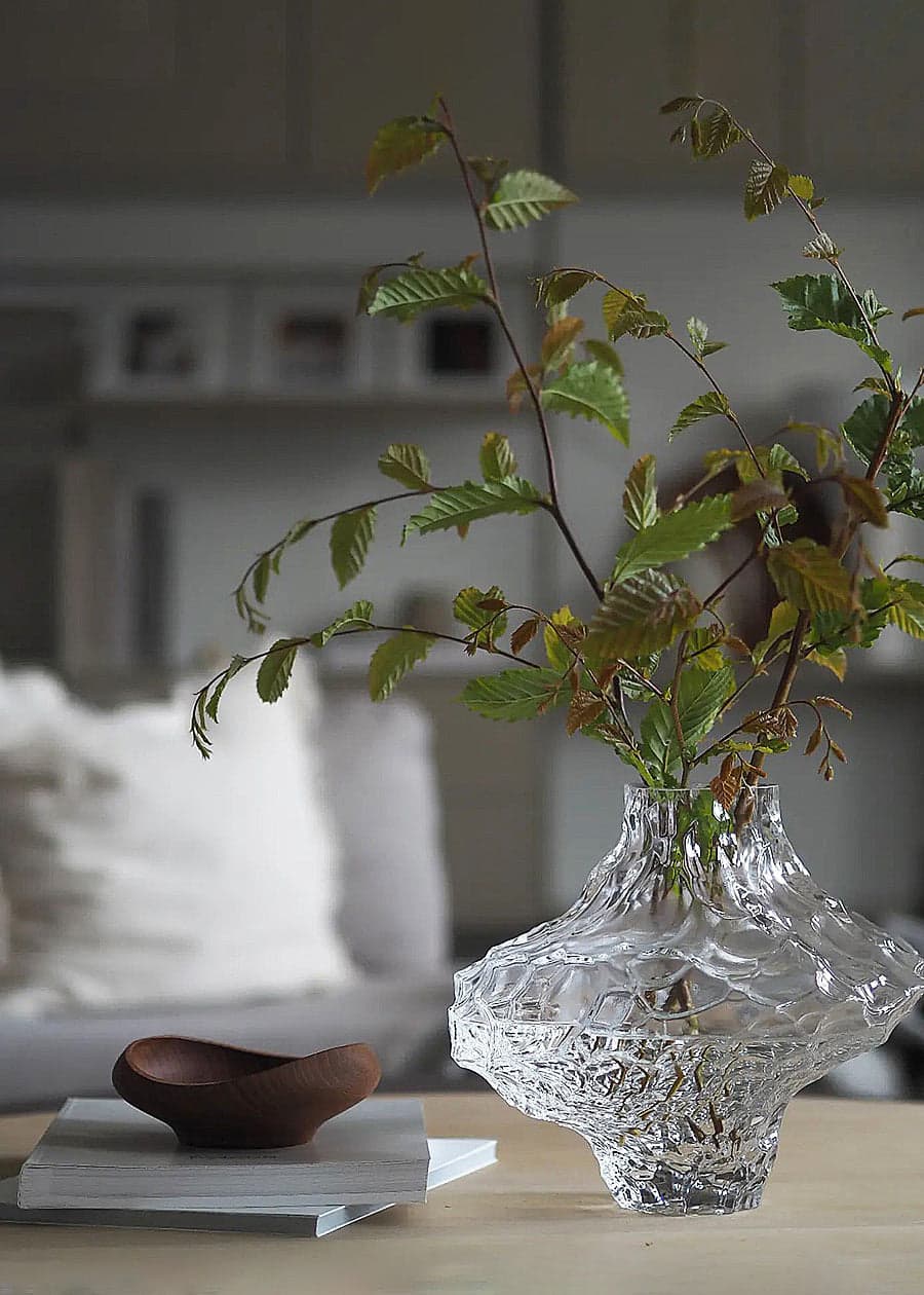 White Transparent Glass Vase