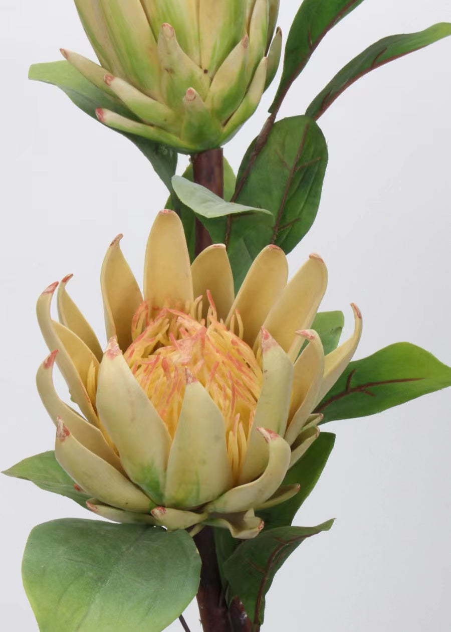 Artificial Waratah Flower Stem, Red - 24"