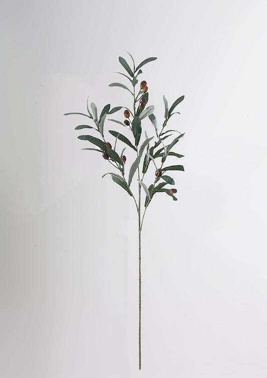 Mediterranean Olive Branch
