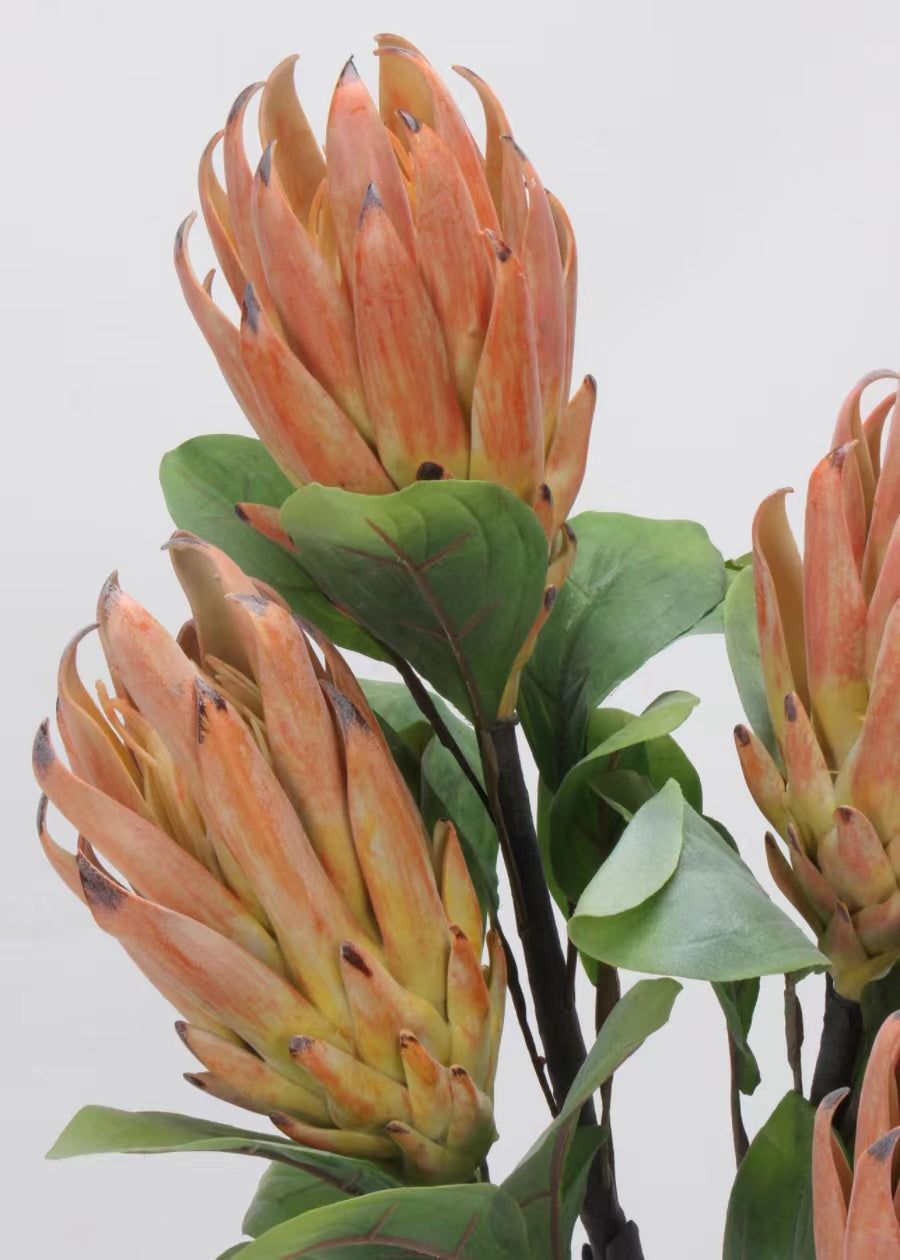 Artificial Night Blooming Cereus Stem - 29" - view 4