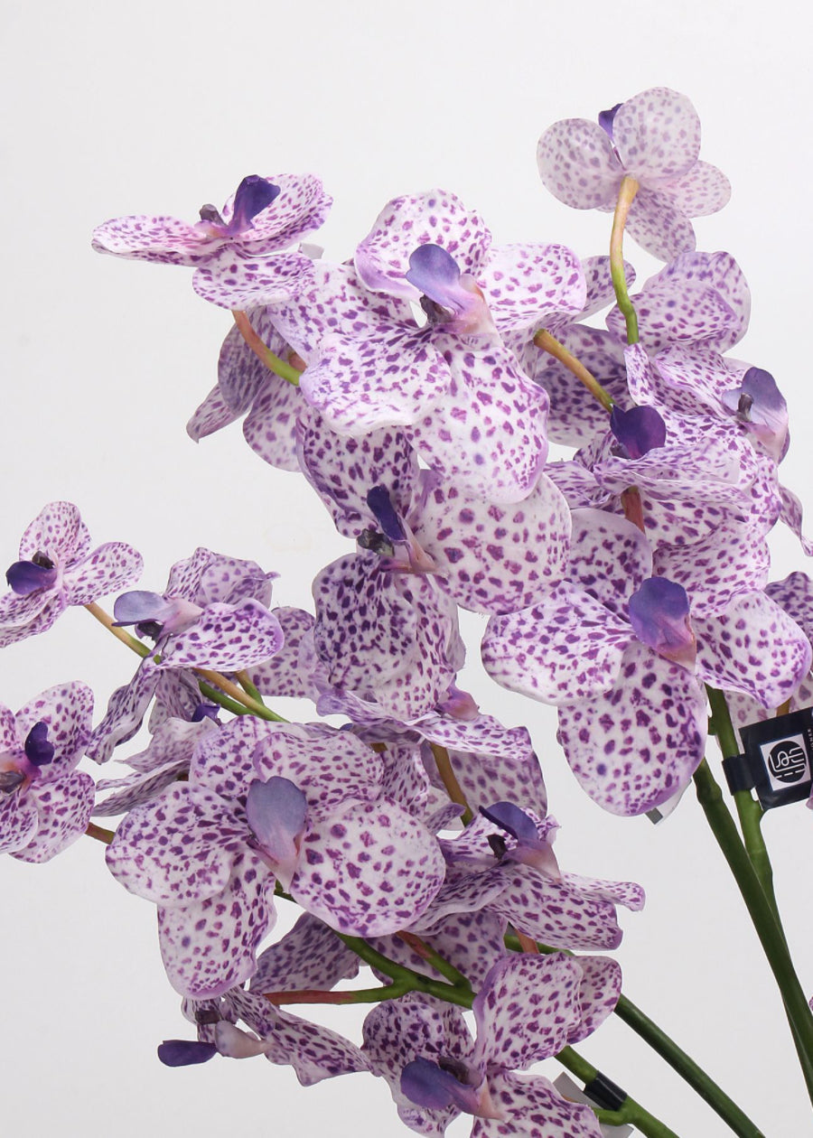Artificial Orchid Stem, Faux Phalaenopsis - 22"
