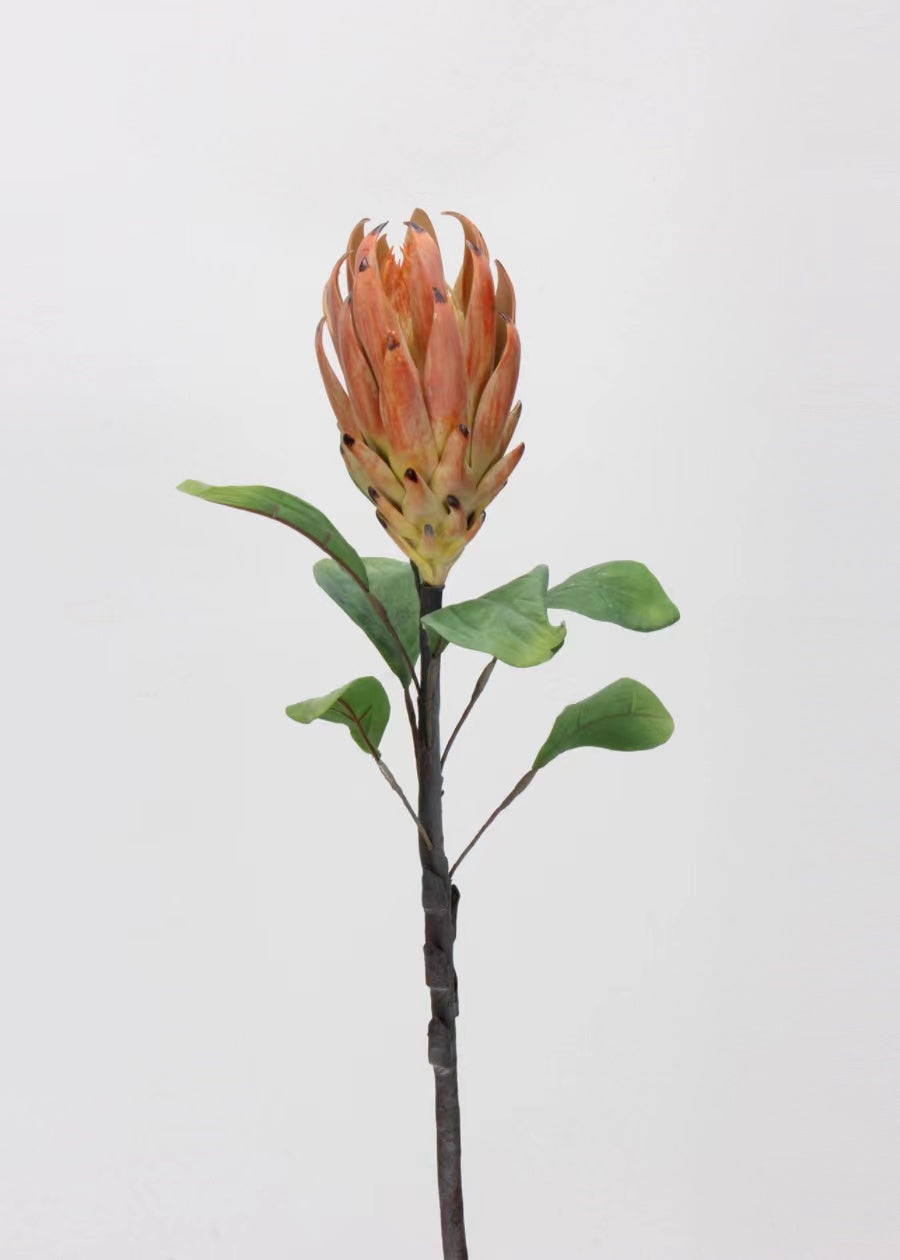 Artificial Night Blooming Cereus Stem - 29"