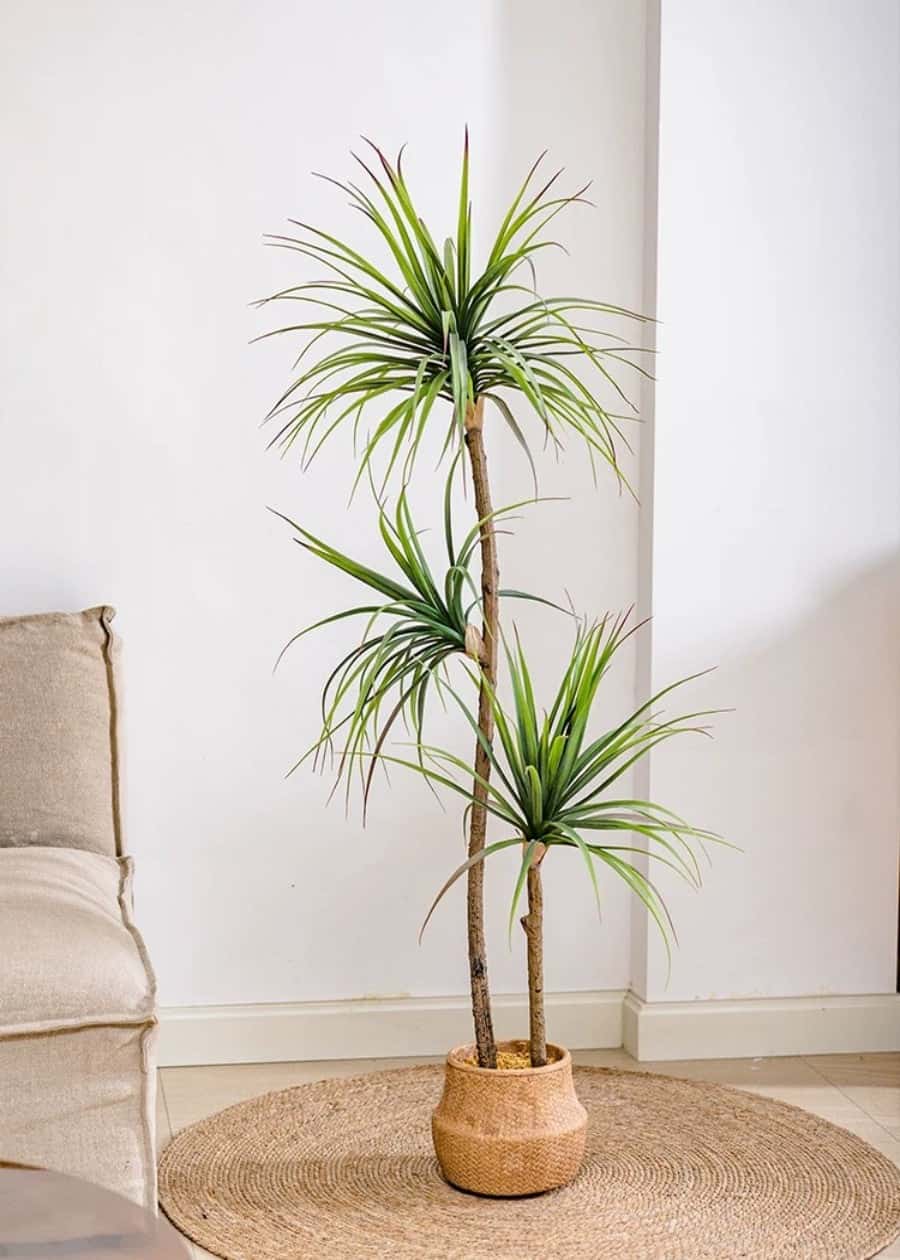 Artificial Agave Tree, Potted Faux Plant