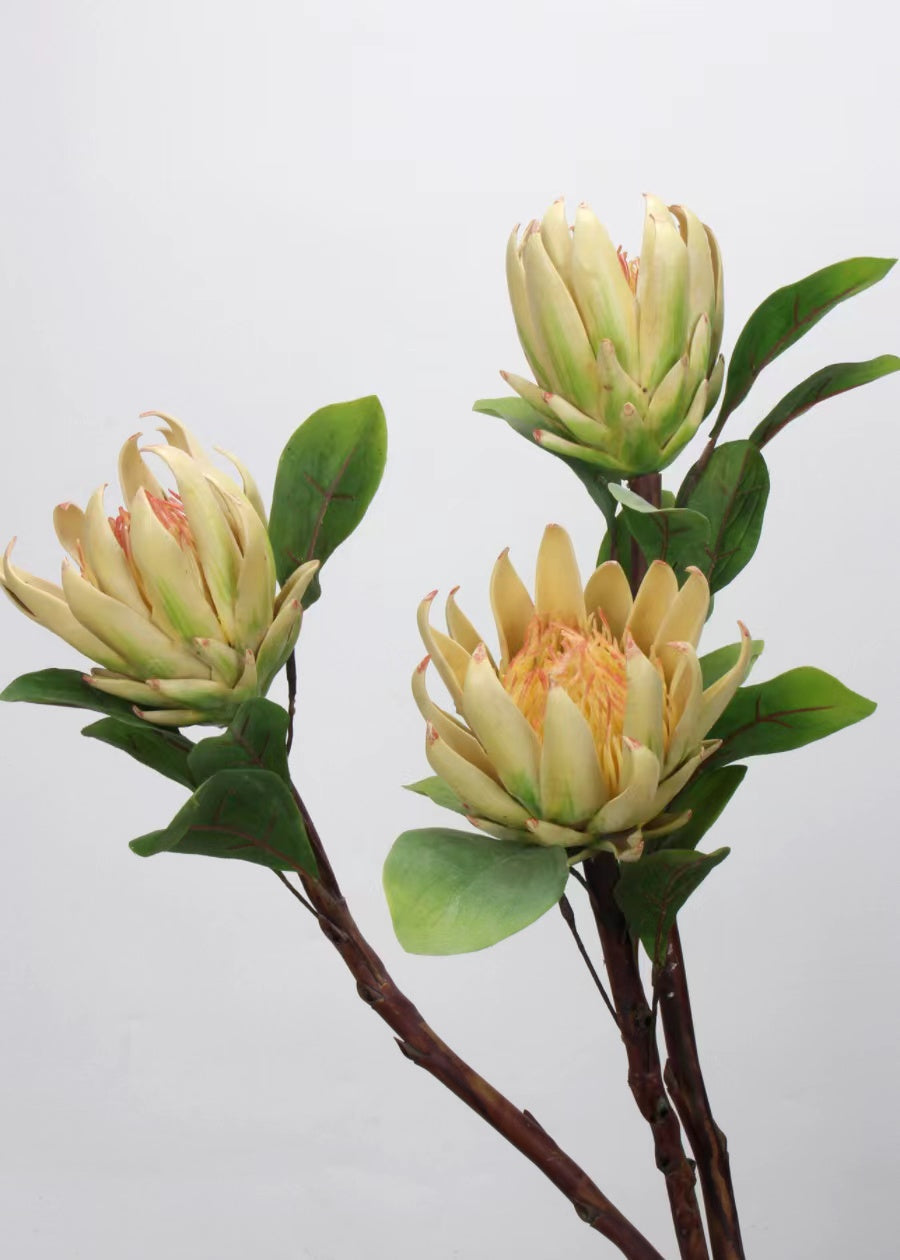 Artificial Night Blooming Cereus Stem - 29"