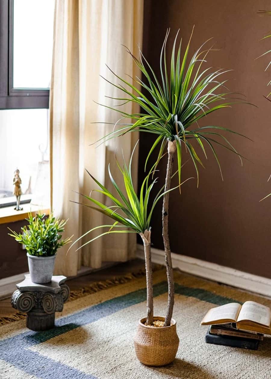 Artificial Agave Tree, Potted Faux Plant