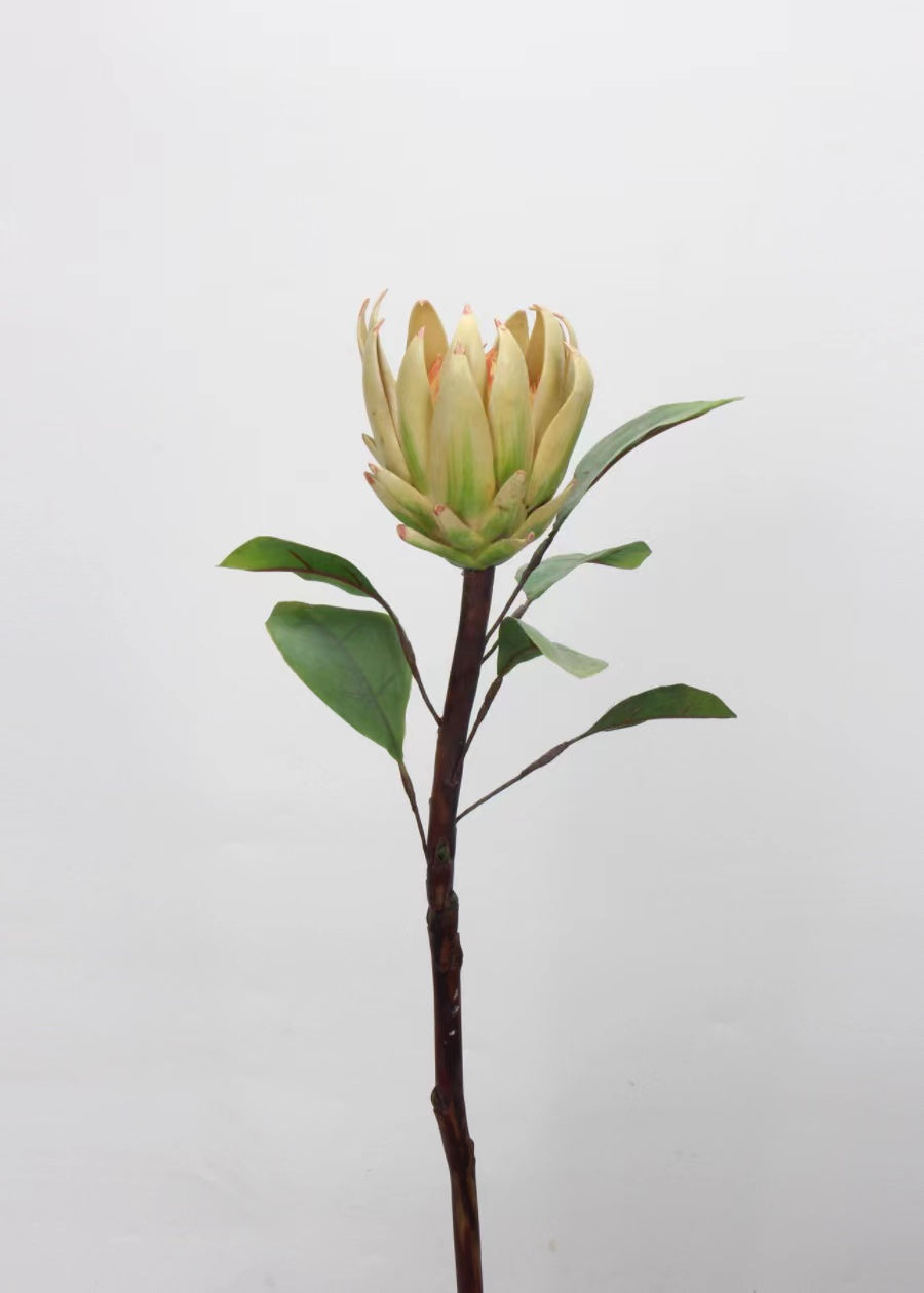Artificial Night Blooming Cereus Stem - 29"