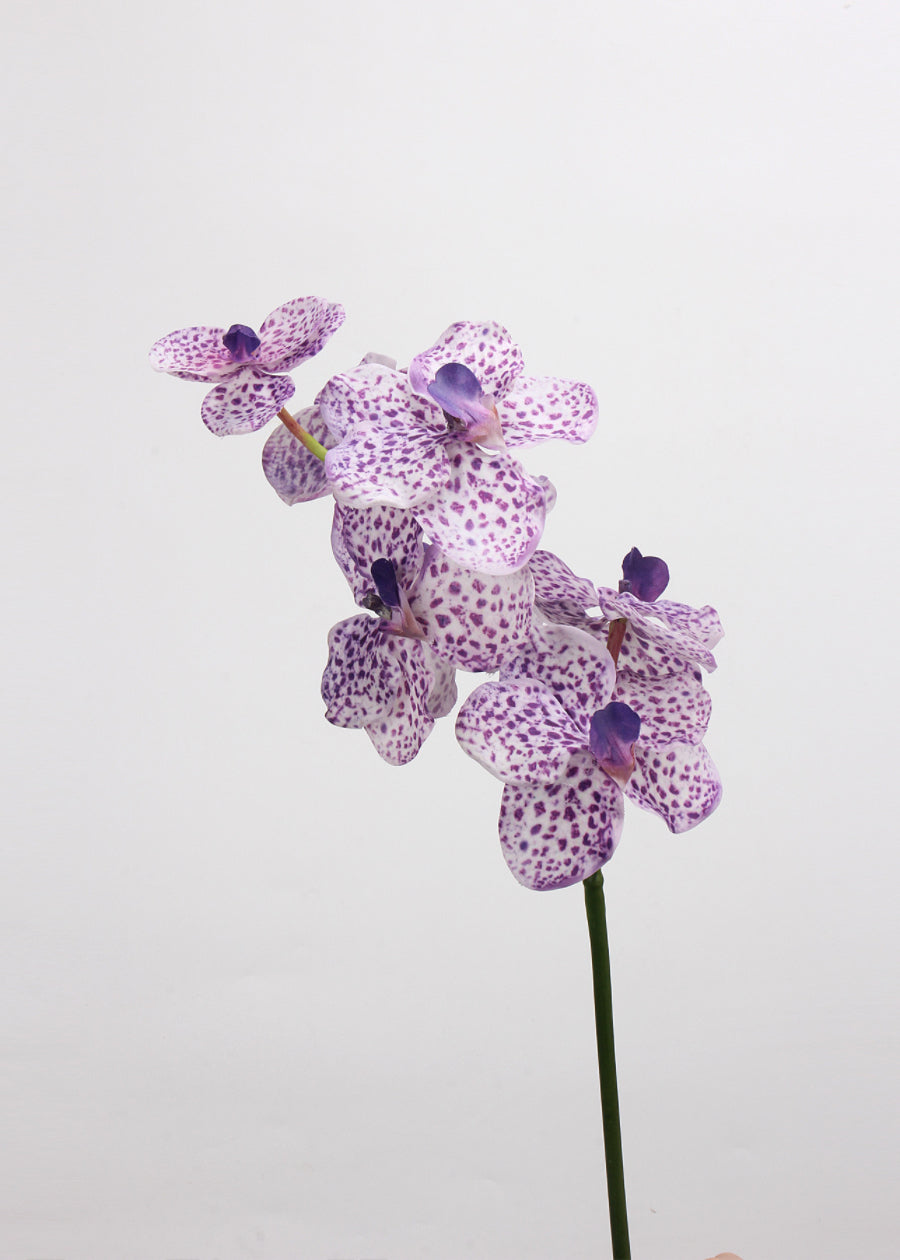 Artificial Orchid Stem, Faux Phalaenopsis - 22" - view 4