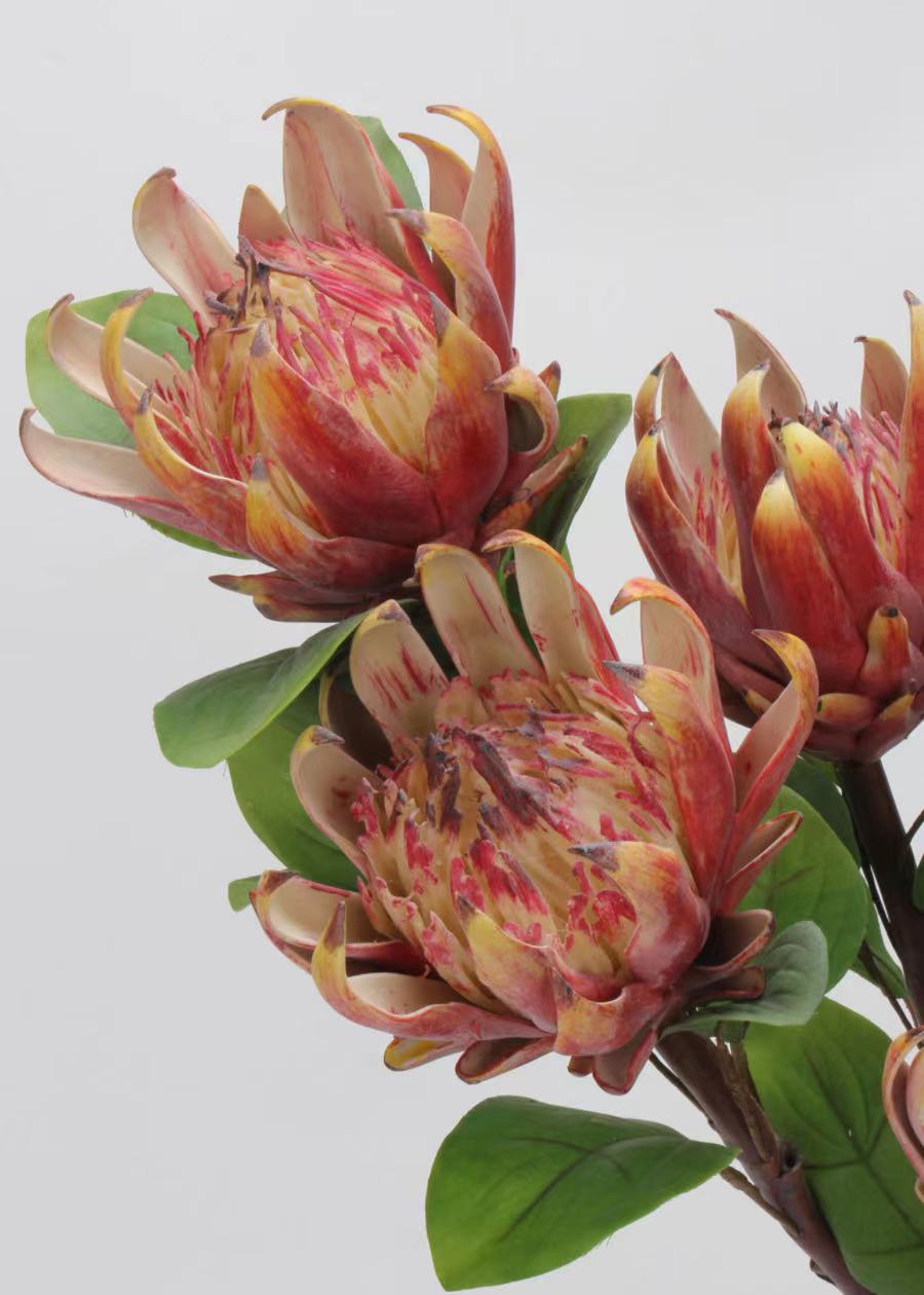 Artificial Waratah Flower Stem, Red - 24"
