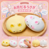 Wiggly Bunny Slow-Rising Squishy