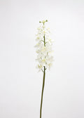 Real Touch Orchid Artificial Flower Stem - 26"