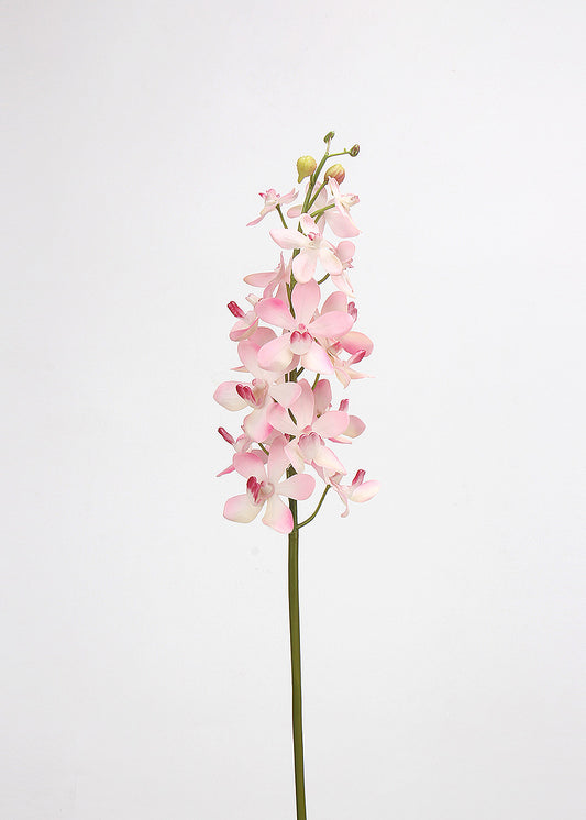 Real-Touch Orchids Splendor