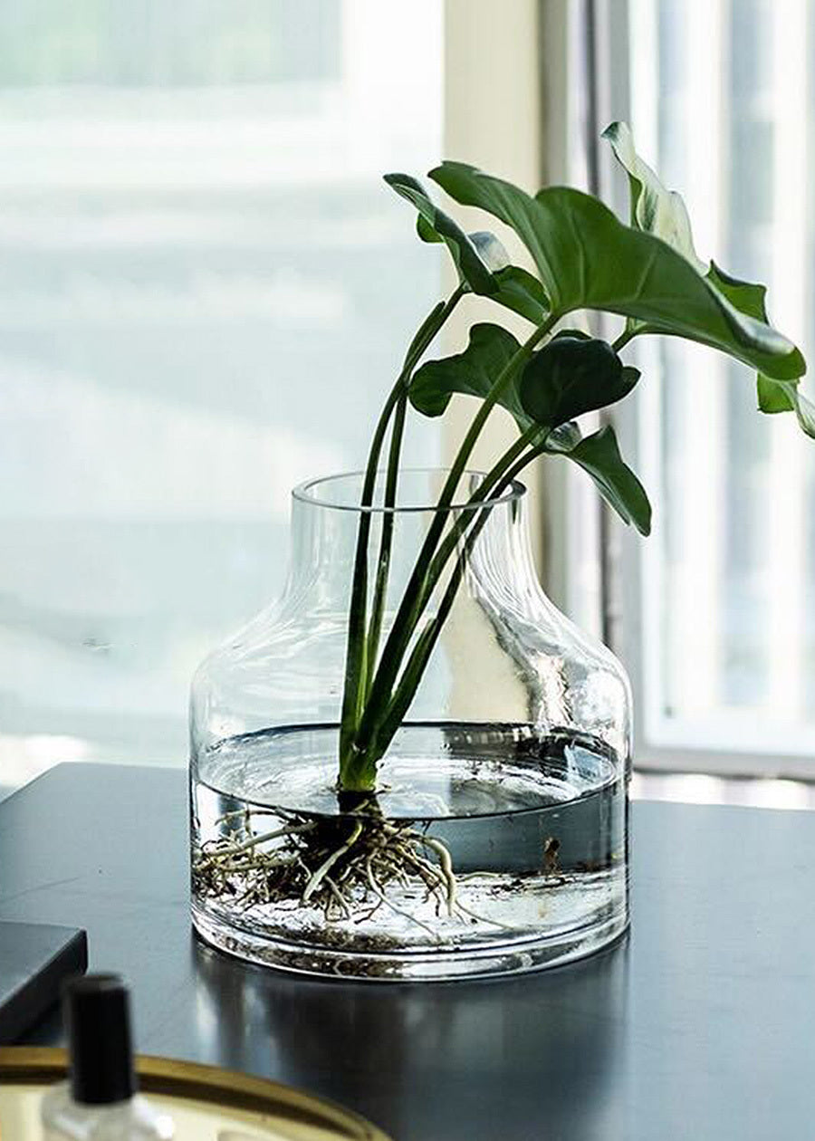 Petite Delight Glass Vase