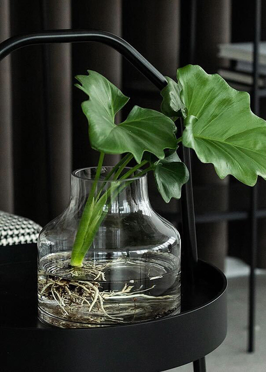 Petite Delight Glass Vase