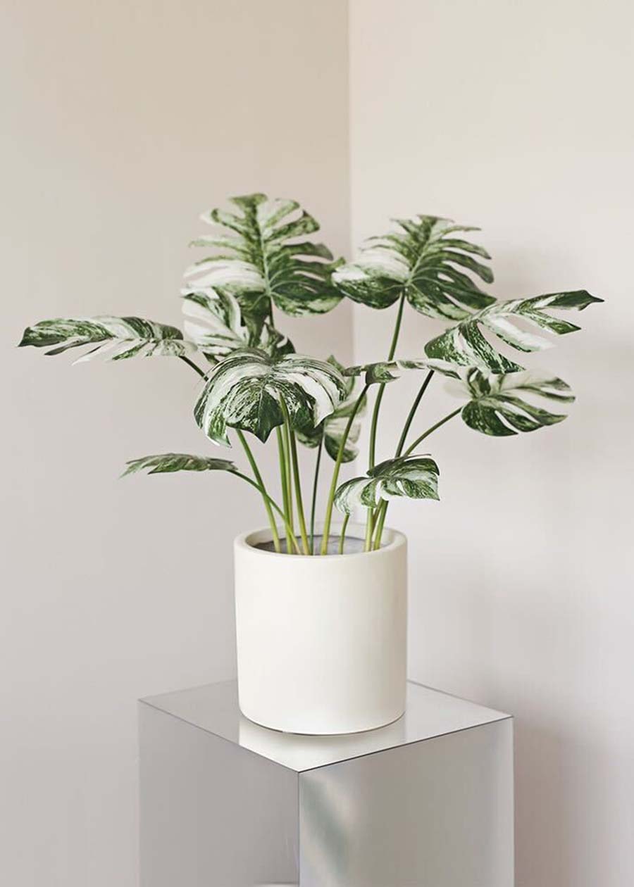 Artificial Monstera Plant in Pot - 19.7"