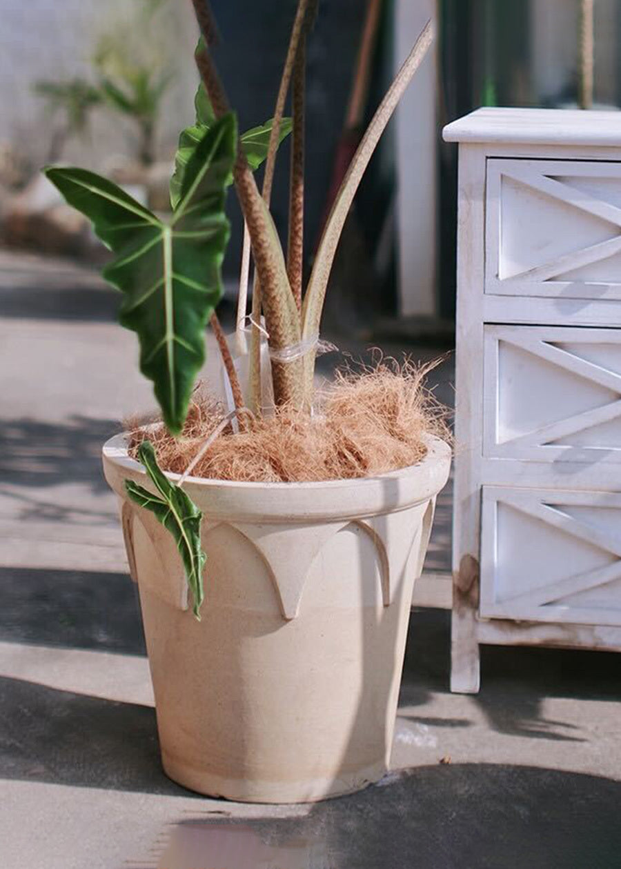 Terracotta Harmony Duo