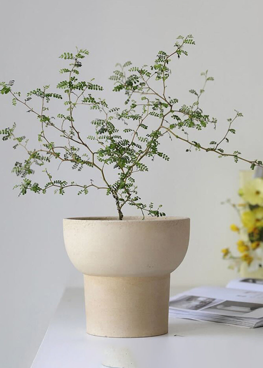 Petite Terracotta Delight