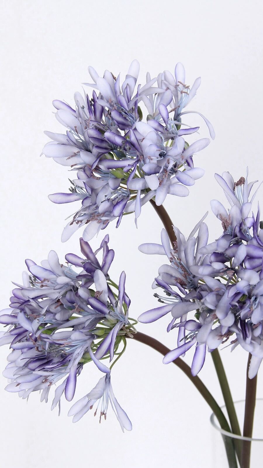 Purple Lotus Blooms - 25.6"