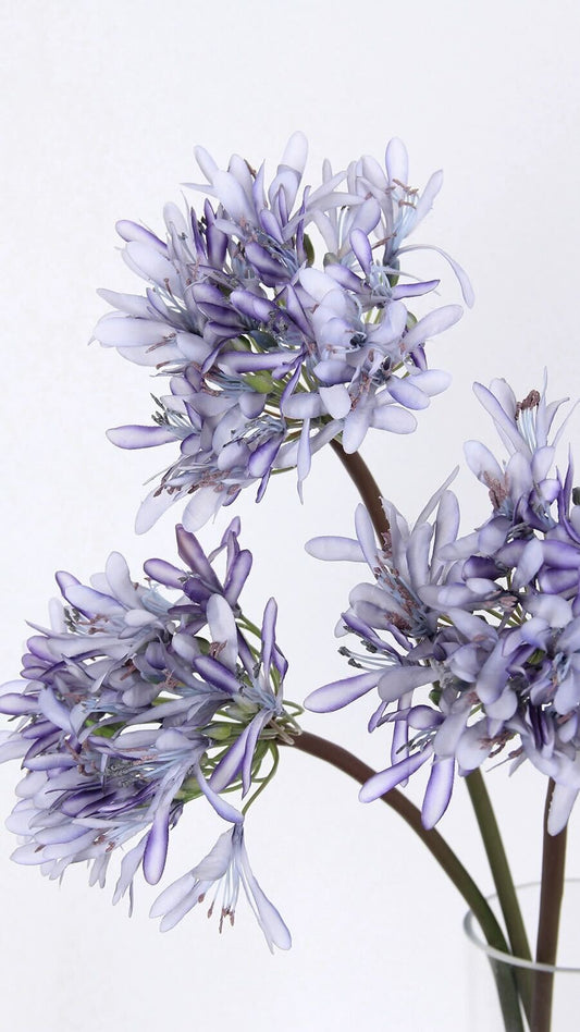 Purple Lotus Blooms - 25.6"