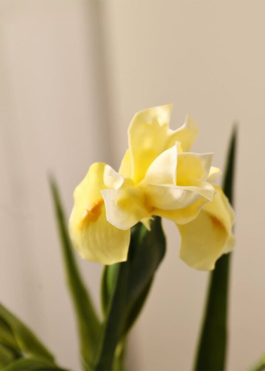 Real Touch Iris Artificial Flower, PU - 22.8"