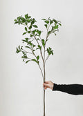 Artificial Japanese Andromeda Stem - 43.3"