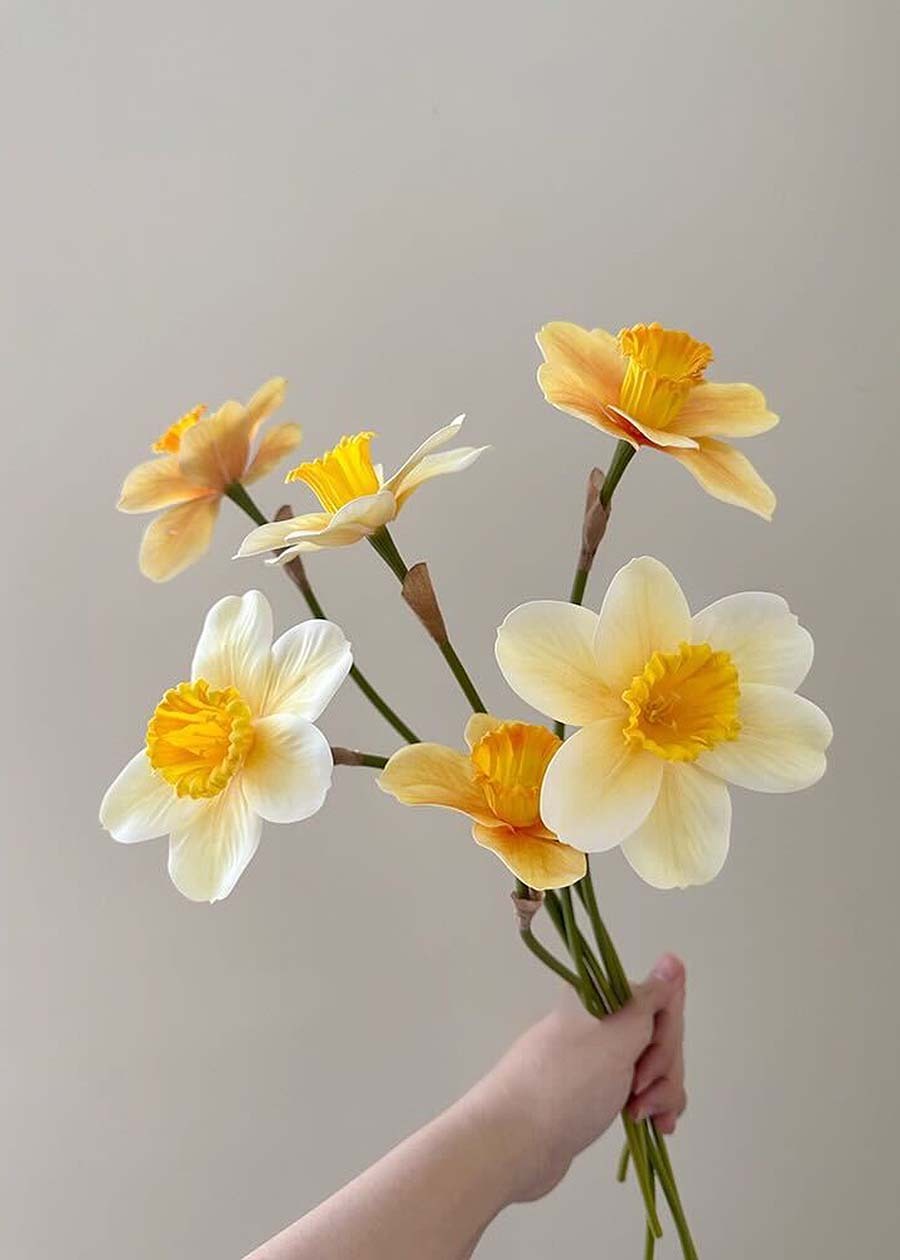 Artificial Frangipani Flower Stems, Set of 6 - 14.1"
