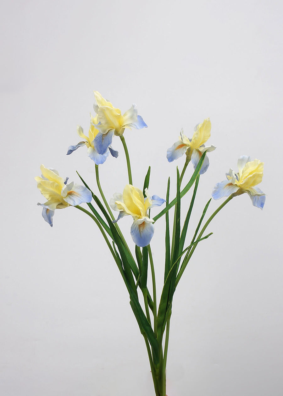 Real Touch Iris Artificial Flower - 21"
