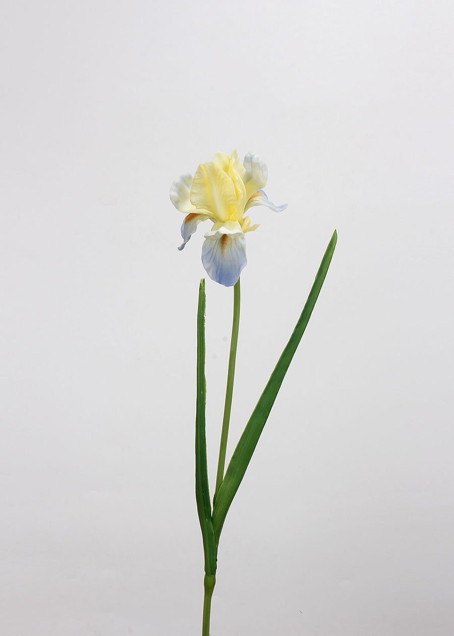 Real Touch Iris Artificial Flower - 21"