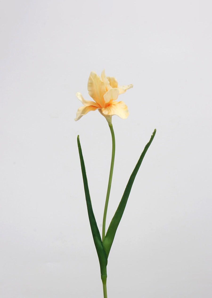 Real Touch Iris Artificial Flower - 21"