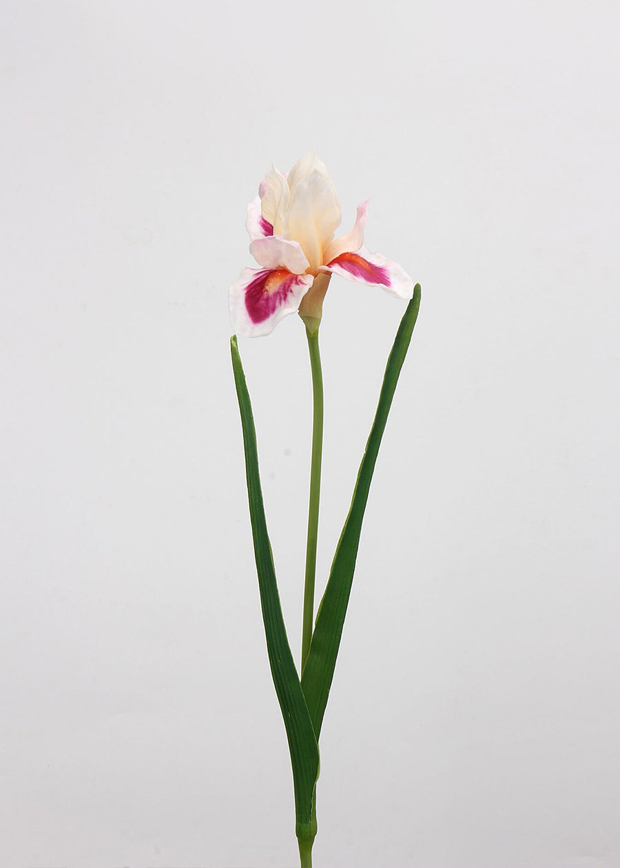 Real Touch Iris Artificial Flower - 21"