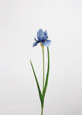 Real Touch Iris Artificial Flower - 21"