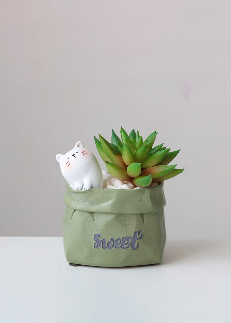 Fake Succulent Plants