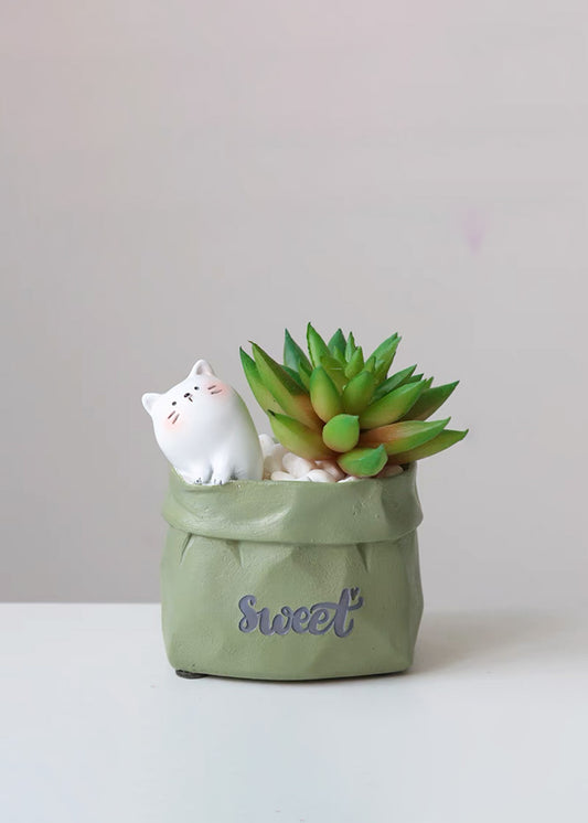 Fake Succulent Plants