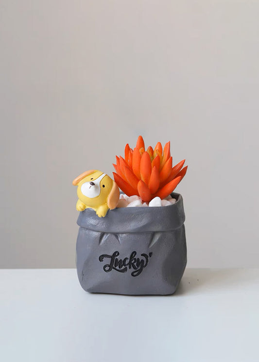 Fake Succulent Plants -- Dog Style