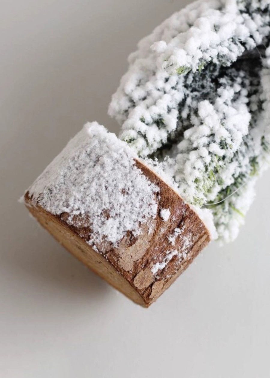 Snow-Sprayed Slender Pine Christmas 