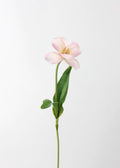 Open Tulip Artificial Bouquet, Light Pink - Set of 12
