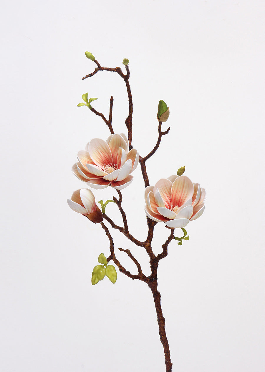 Pink Gladiolus Grace