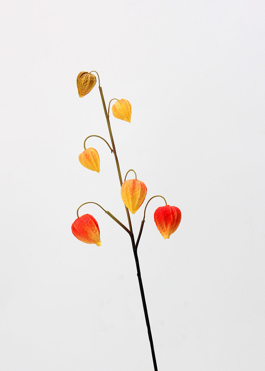 Hanging Chandelier Elegance - 28"