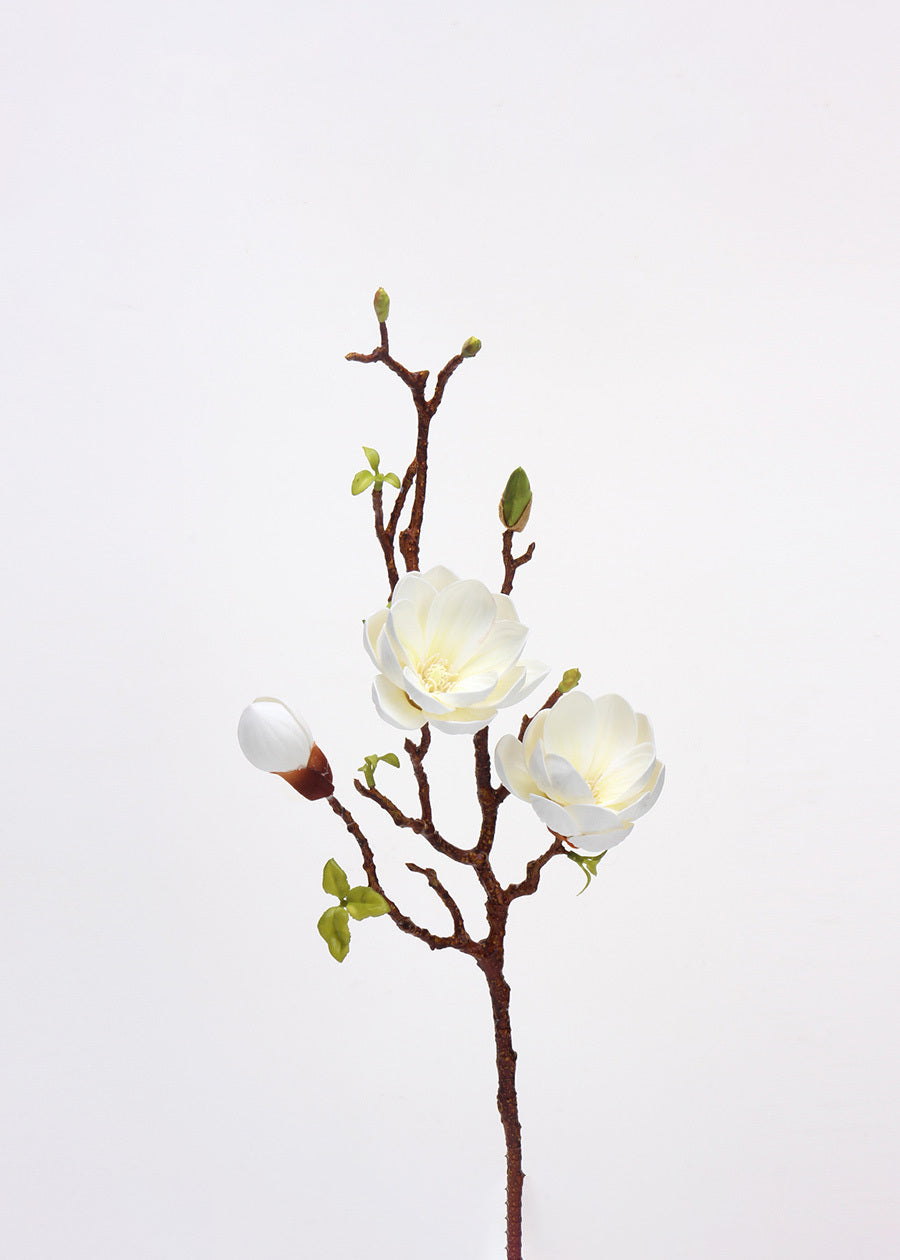 Pink Gladiolus Grace