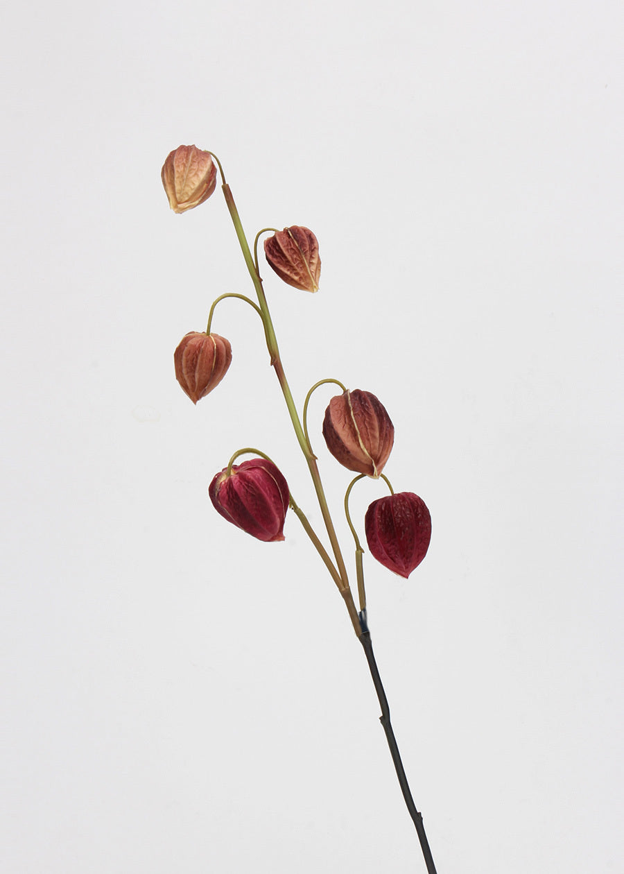 Hanging Chandelier Elegance - 28"