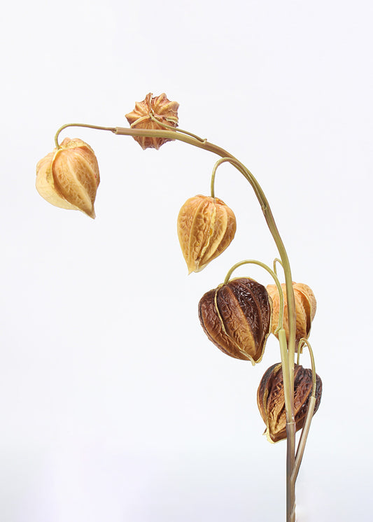 Hanging Chandelier Elegance - 28"