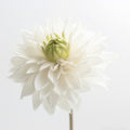 White Dahlia Artificial Flower Stem - 19"