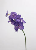 Artificial Orchid Stem, Faux Phalaenopsis - 22"