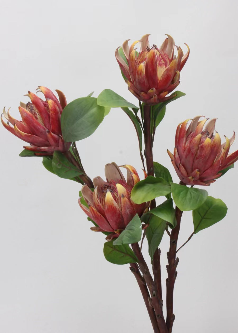 Artificial Waratah Flower Stem, Red - 24" - view 5