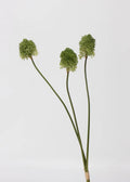 Artificial Gladiator Flower Stem - 21"