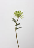 Artificial Chrysanthemum Stem - 24"