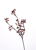 Artificial Autumn Berry Stem - 28"