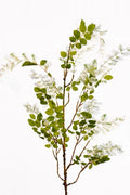 Artificial Wisteria Vine Stem, Violet - 43.3"