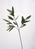 Artificial Eucalyptus Leaves Stem, Lush Green